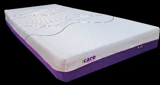 IC333 Homecare Bed