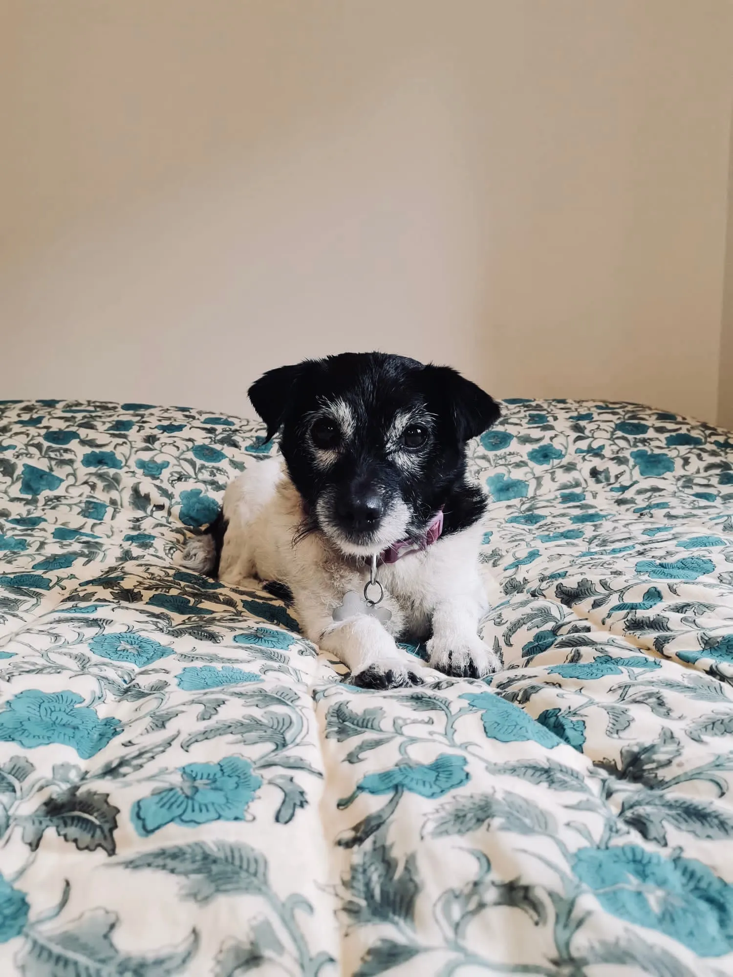 Jasmine Quilt in Vintage Blue - Single