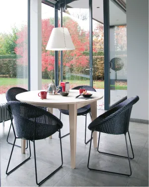 Joe Dining Chair