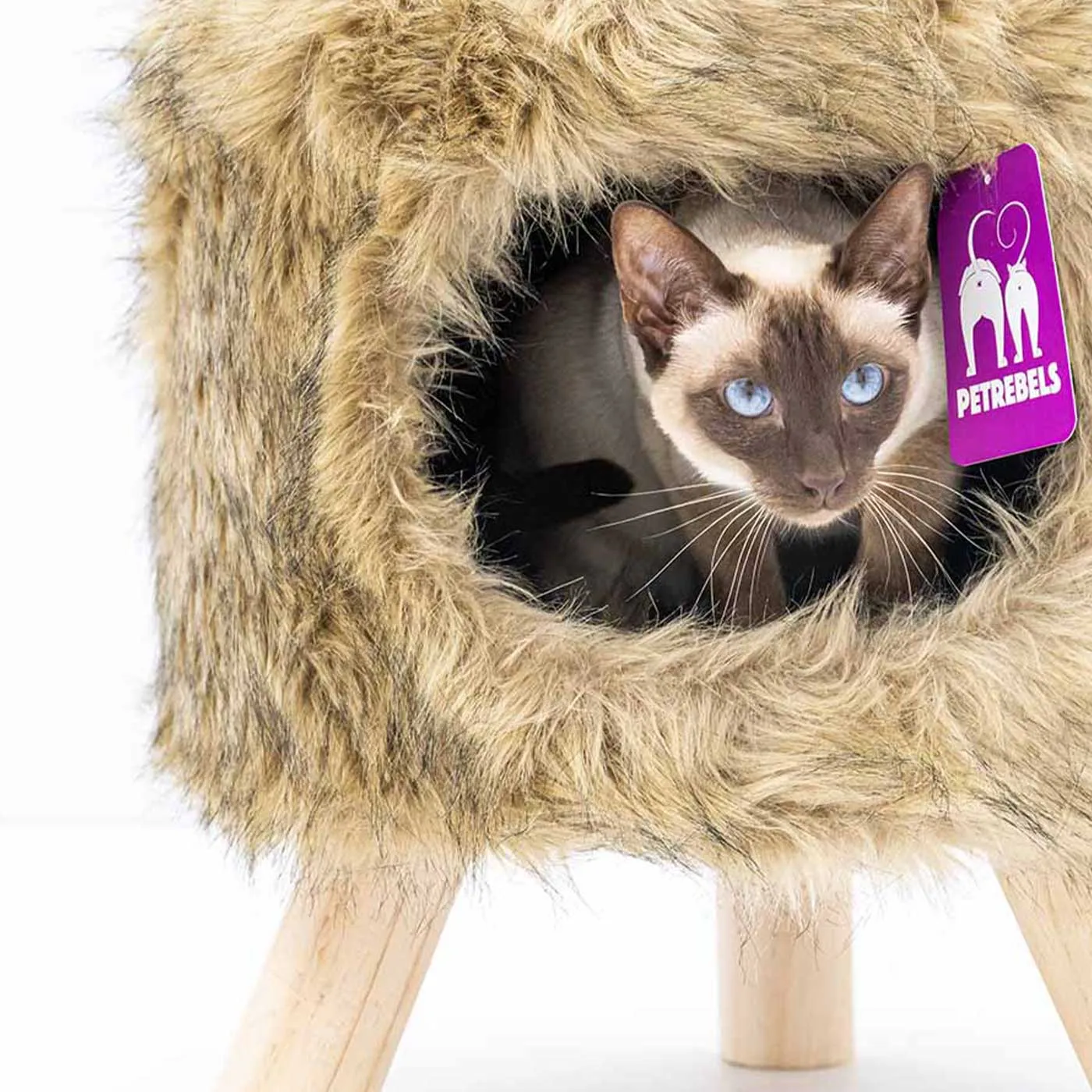 Kings & Queens Victoria 45cm Cat Bed