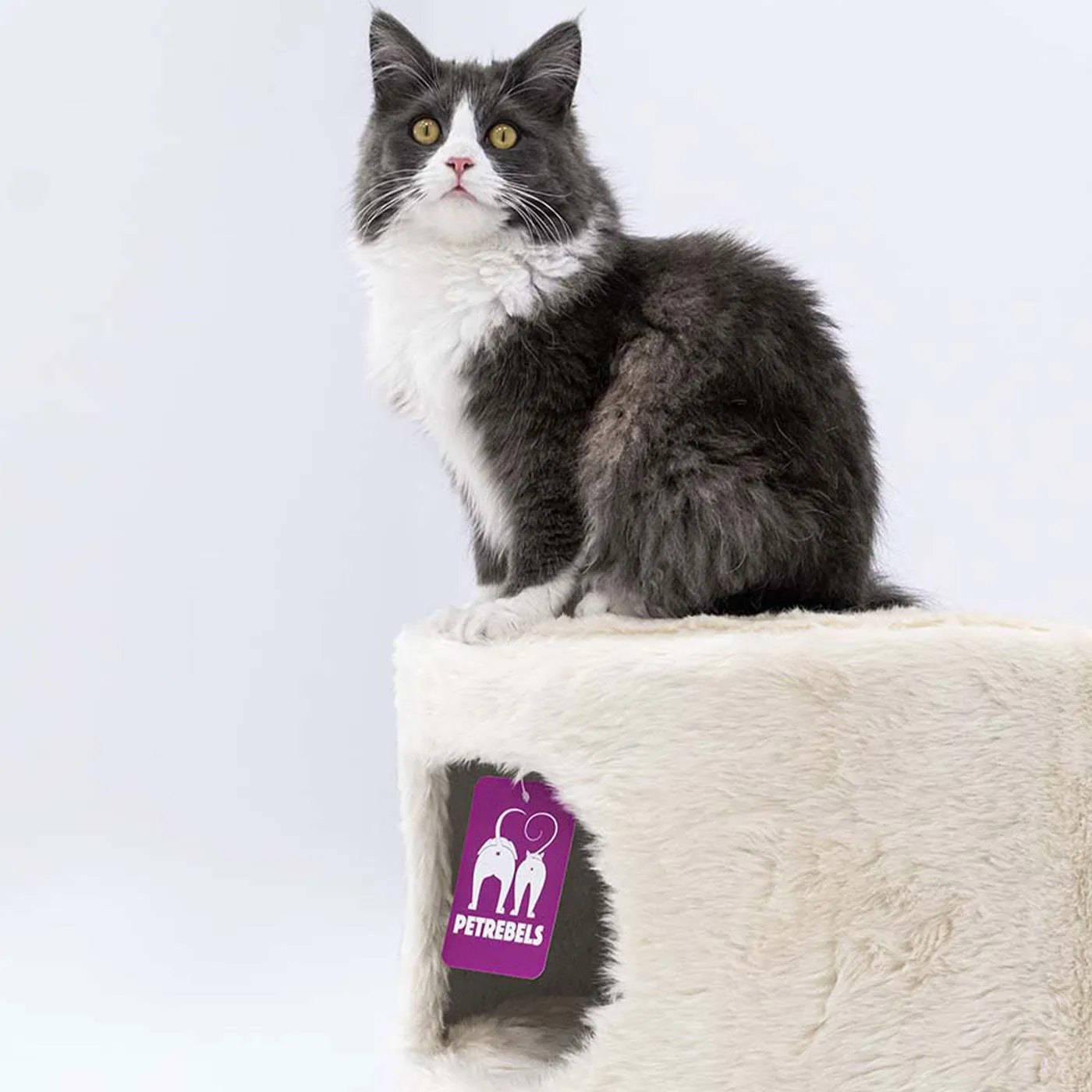Kings & Queens Victoria 45cm Cat Bed