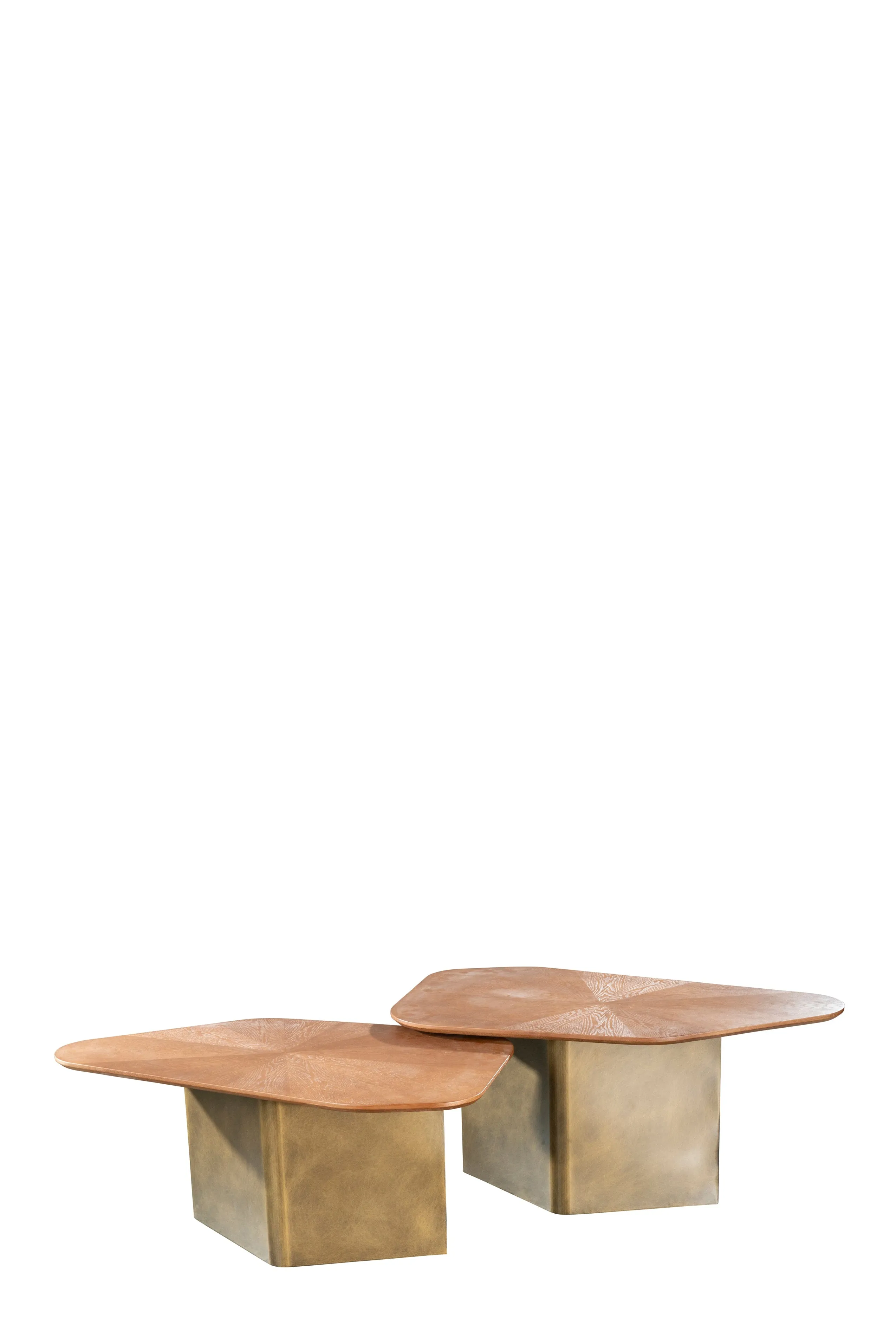 Set of 2 Mauricio Nesting Coffee Table Set