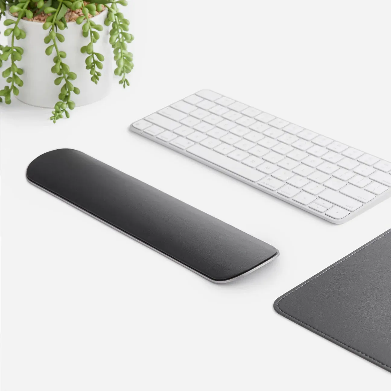 Workspace Essentials Bundle with Laptop Stand